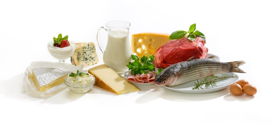 Milk vs Meat: What's the Best Protein