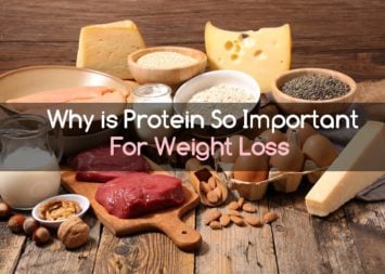 Why is protein important