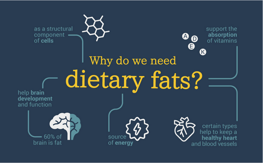 Why You Need More Fat In Your Diet And Which Fats Are Best Biotrust 