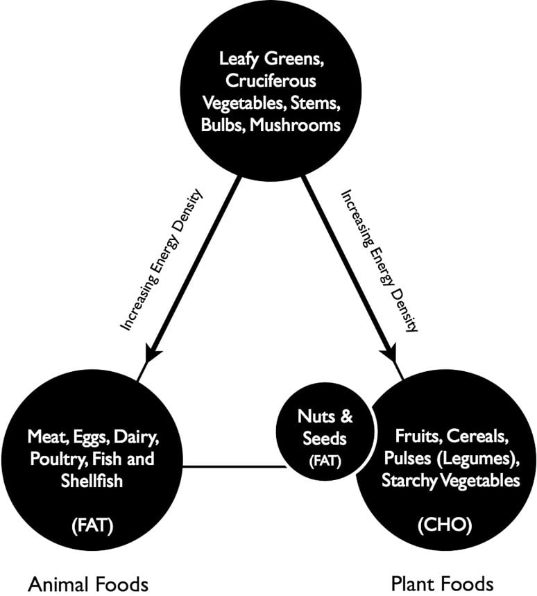 is-a-vegetarian-diet-really-healthy-you-may-be-surprised-biotrust