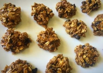 No-Bake Vegan Protein Cookies