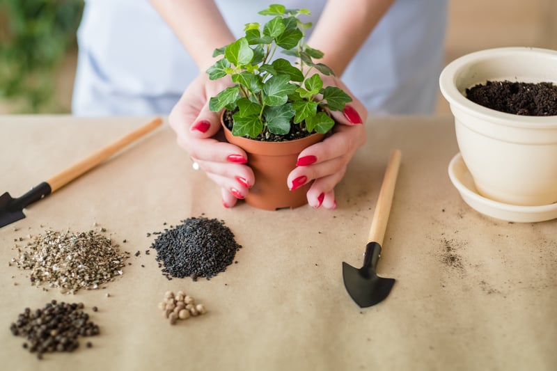 7 health benefits of gardening