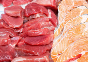 tuna vs. salmon