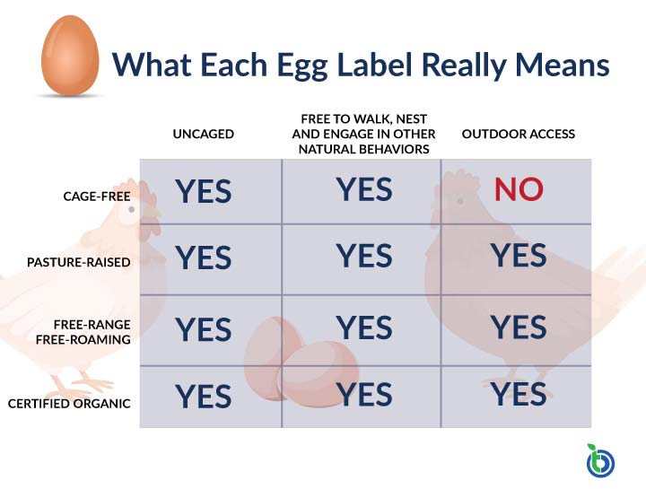 Egg Labels Meaning