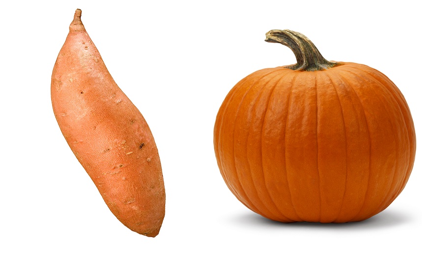 Pumpkin vs. Sweet Potato: Which Is Better for You?
