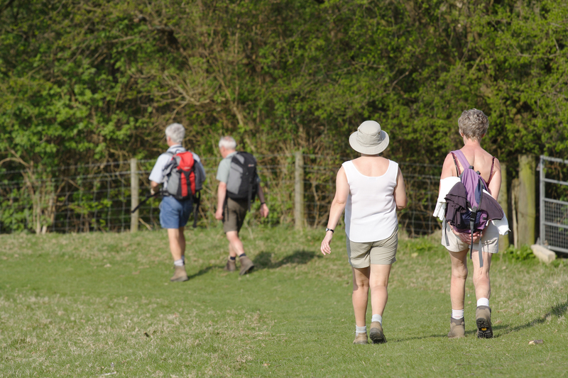 walking speed is one of the physical health markers for longevity