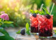 tea mocktail: blackberry tea Bellini