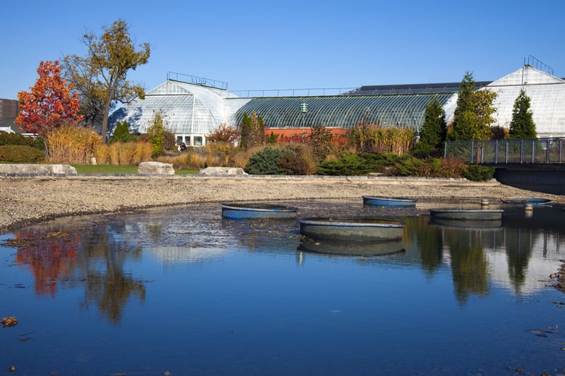 enjoy the benefits of green spaces with indoor greenhouses